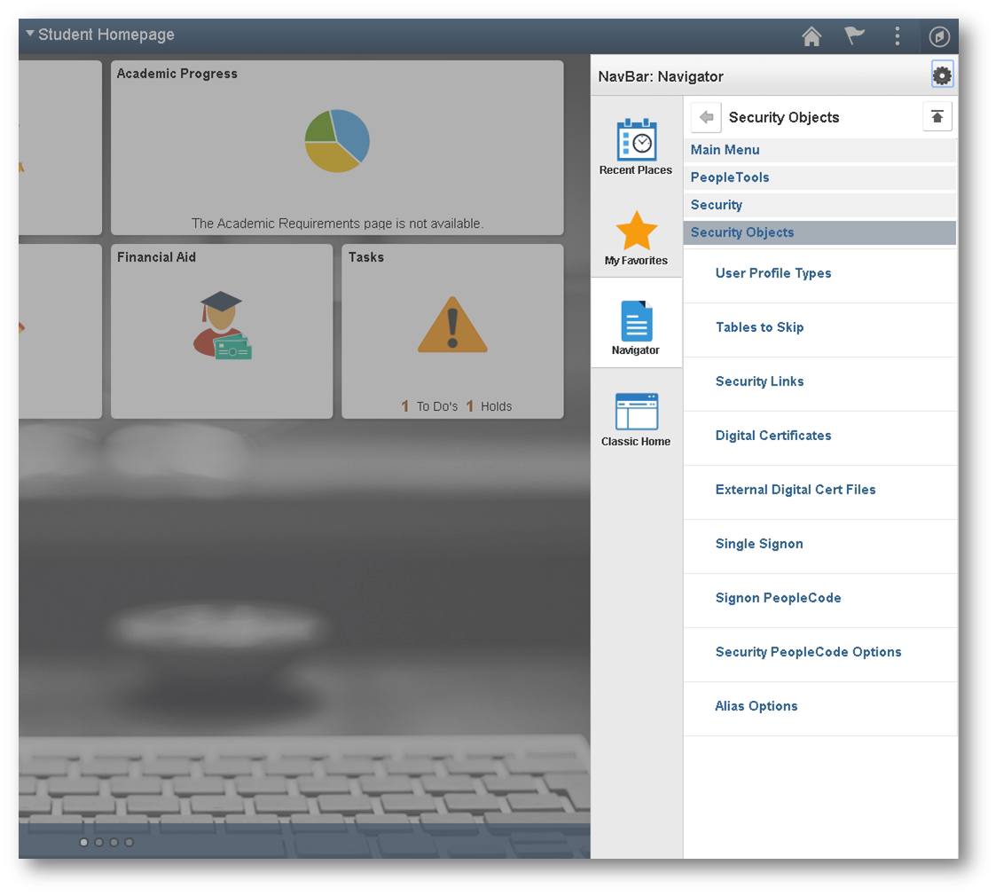 No Custom Nav Styling